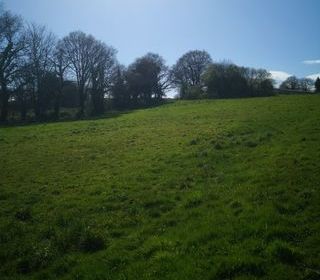  Terrain � vendre 13000 m�