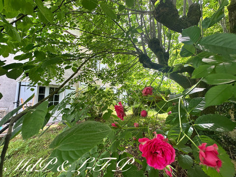   Maison de village en pierres_7 pi�ces_ 290 m2 Maison - 6 pi�ce(s) - 294 m�