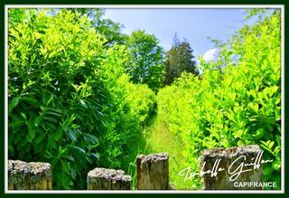  Terrain � vendre 24565 m�