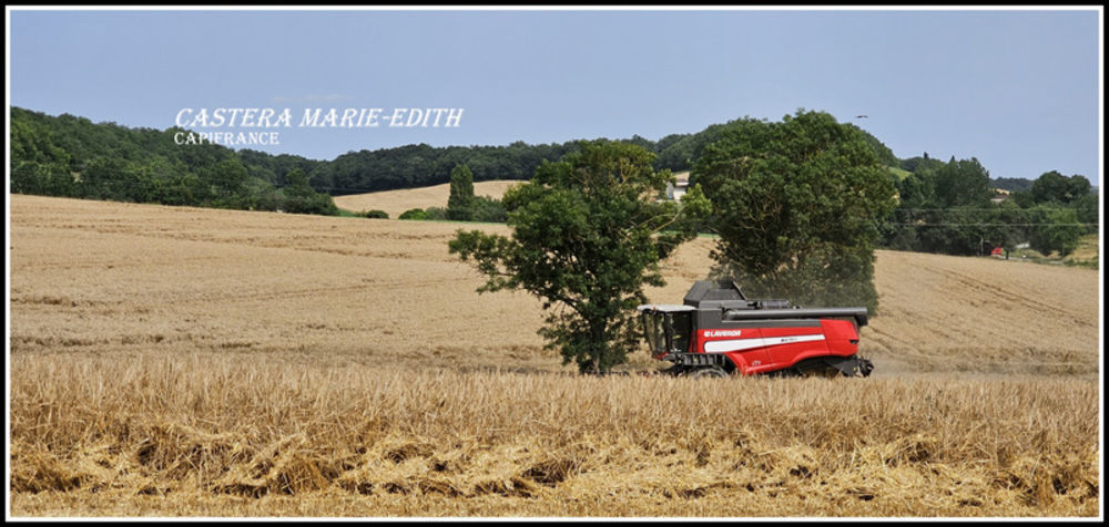 � vendre  Propri�t�/ch�teau Auch (32000)