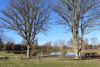  Terrain � vendre 1174 m�