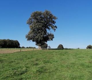  Propri�t�/ch�teau � vendre 1 pi�ce 1 m�