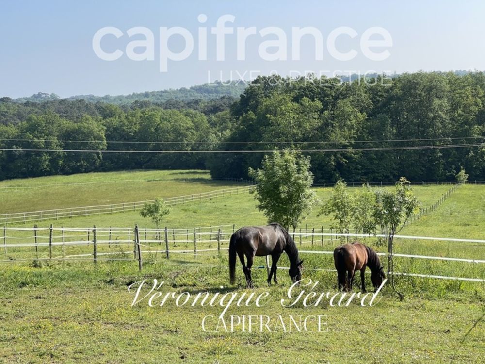 � vendre  Propri�t�/ch�teau Cursan (33670)