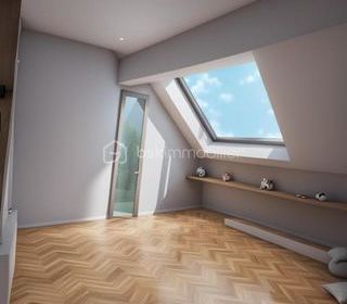  Duplex/triplex � vendre 3 pi�ces 56 m�