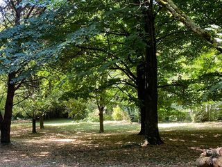  Maison � vendre 7 pi�ces 175 m�