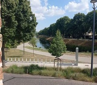  Appartement � louer 1 pi�ce 15 m�