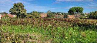  Terrain � vendre 3372 m�