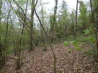  Terrain � vendre 8257 m�