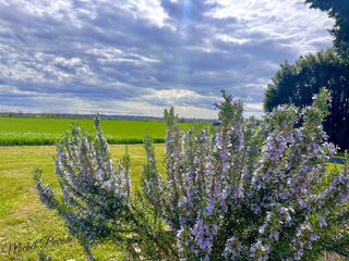  Maison � vendre 6 pi�ces 197 m�