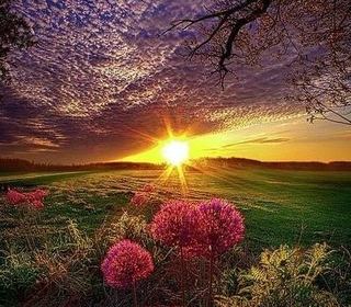  Appartement � louer 2 pi�ces 50 m�