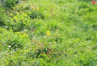  Terrain � vendre 1050 m�