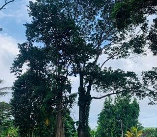  Terrain � vendre 738 m�