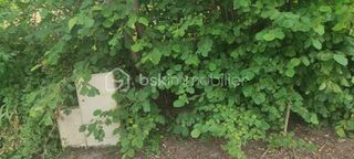  Terrain � vendre 972 m�