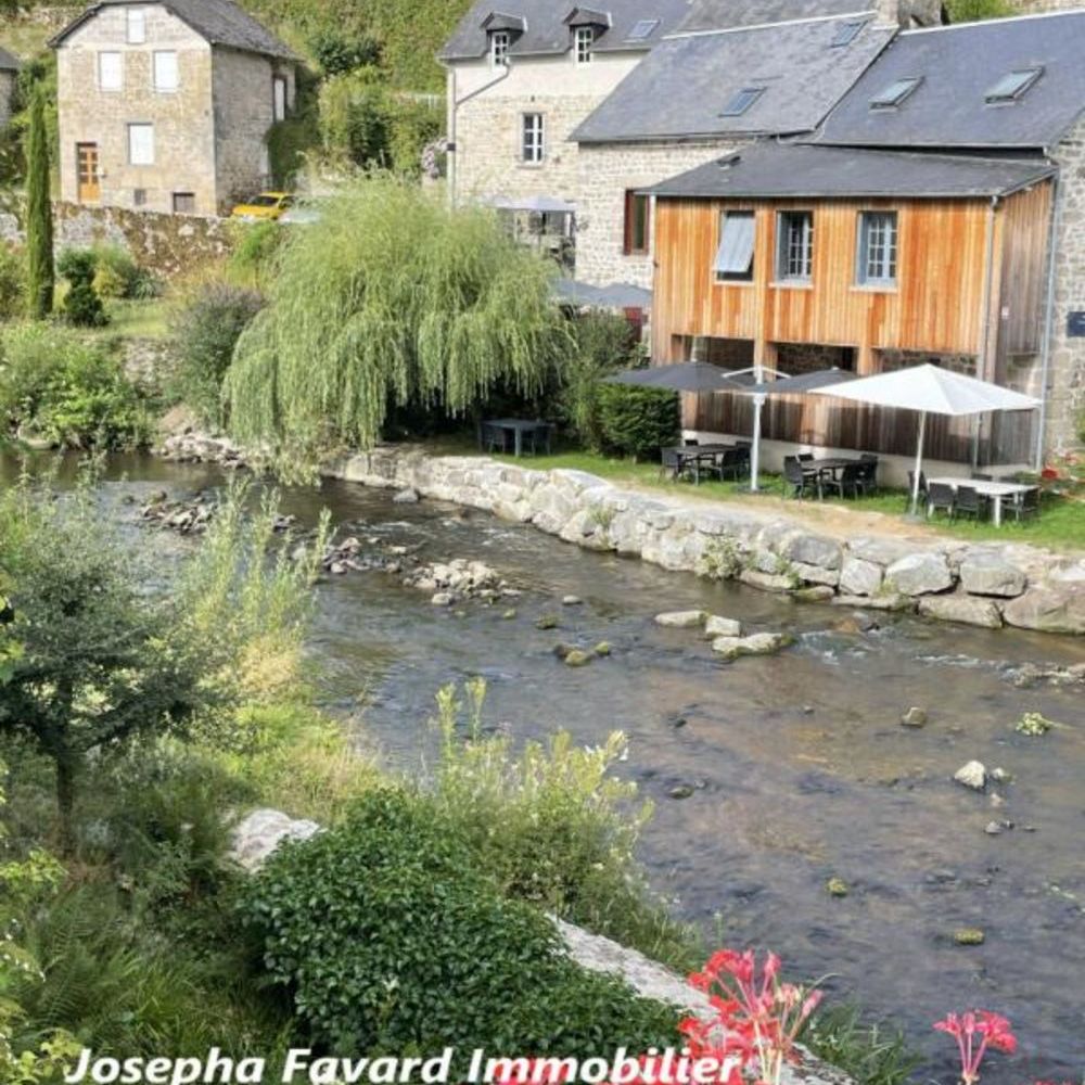 � vendre  Propri�t�/ch�teau Treignac (19260)