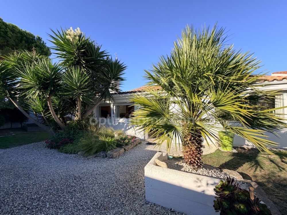 � vendre  Maison Saint-Martin-de-R� (17410)