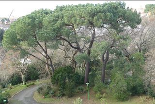  Appartement � vendre 1 pi�ce 34 m�