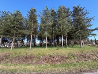  Terrain � vendre 3000 m�