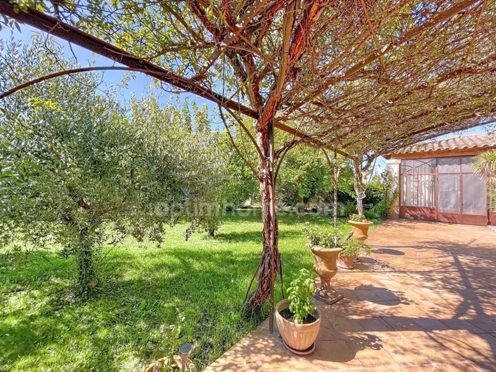 � vendre  Maison Maillane (13910)