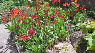  Maison � vendre 10 pi�ces 238 m�