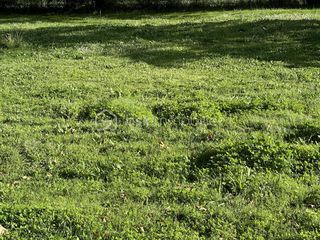  Terrain � vendre 975 m�