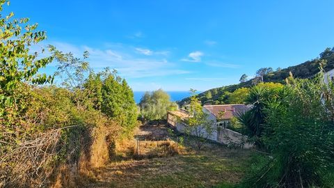   � vendre � Sari-Solenzara Maison vue mer panoramique et charme m�diterran�en assur� ( vendu libre de toute occupation) Maison - 4 pi�ce(s) - 120 m�