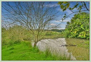  Terrain � vendre 31710 m�