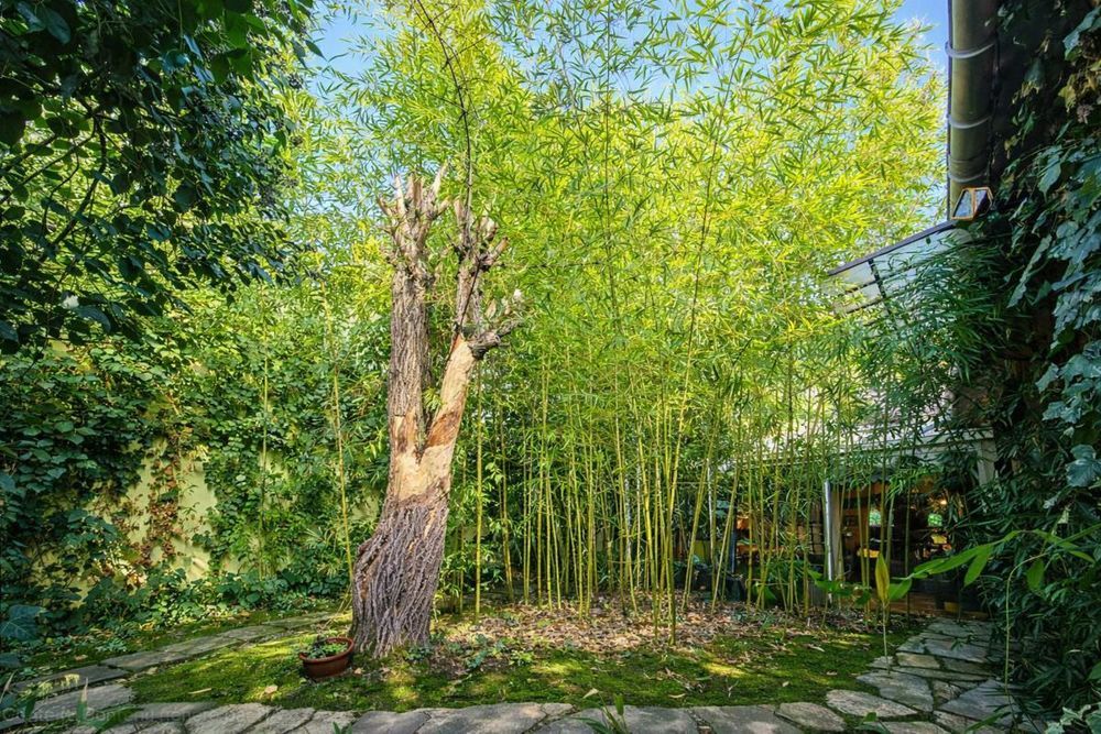 � vendre  Maison Antony (92160)