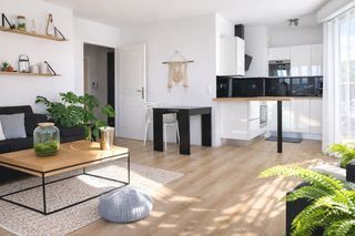  Appartement � louer 2 pi�ces 54 m�