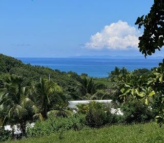  Terrain � vendre 23960 m�