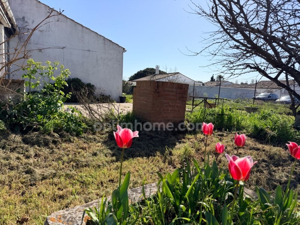 � vendre  Maison Le Bois-Plage-en-R� (17580)