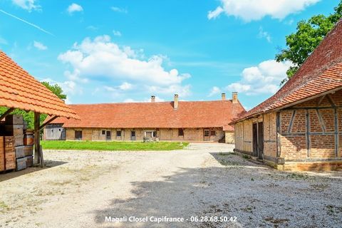   Magnifique propri�t� sur env 15 hectares avec gite proche Saint Germain du Bois Maison - 14 pi�ce(s) - 201 m�