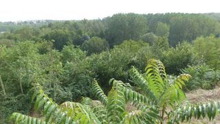  Maison � vendre 4 pi�ces 122 m�