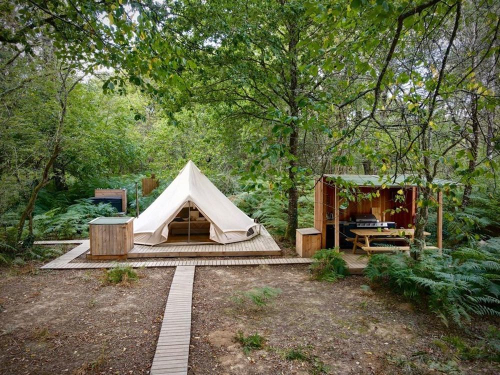 � vendre  Propri�t�/ch�teau Poitiers (86000)