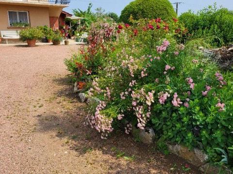   Maison Lons Nord 9 pi�ce(s) 200 m2 Maison - 9 pi�ce(s) - 230 m�