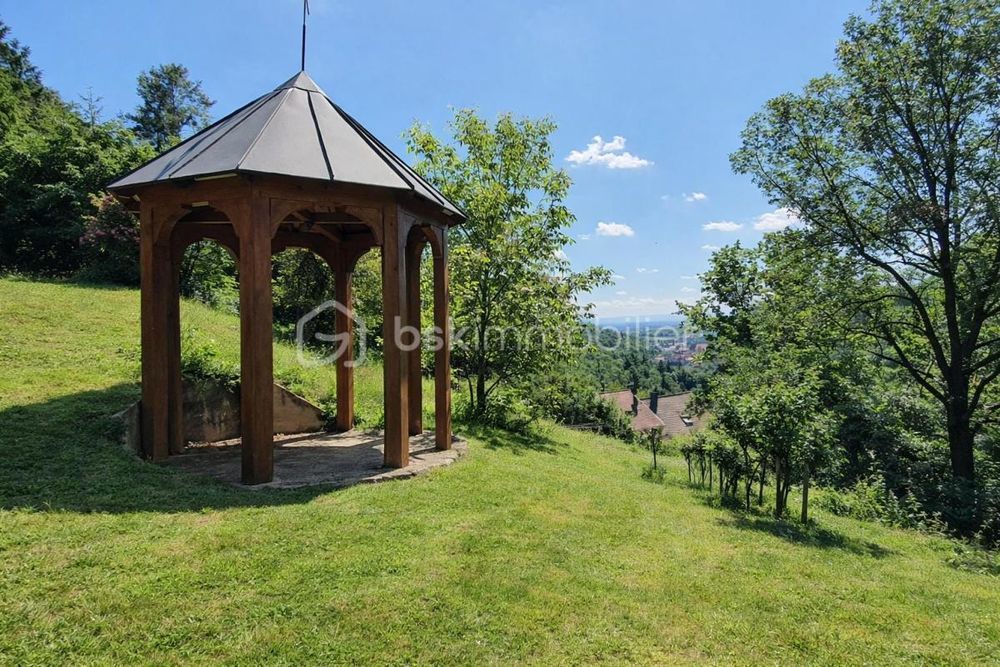 � vendre  Propri�t�/ch�teau Andlau (67140)