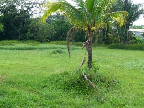 Tr&egrave;s belle parcelle BORD DE ROUTE de 2,7 hectares constructible d&eacute;di&eacute;e sur le PLU, &agrave; des activit&eacute;s industrielles 2750000 97351 Matoury