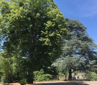  Propri�t�/ch�teau � vendre 15 + pi�ces 450 m�