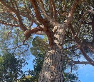  Propri�t�/ch�teau � vendre 14 pi�ces 900 m�