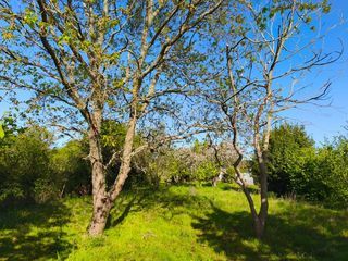  Terrain � vendre 942 m�