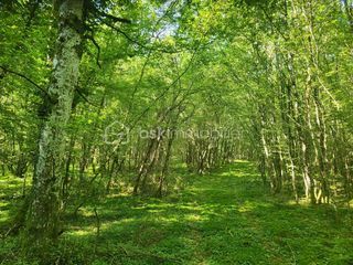  Terrain � vendre 107573 m�