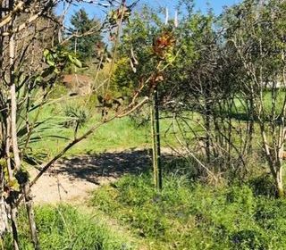  Maison � vendre 5 pi�ces 92 m�