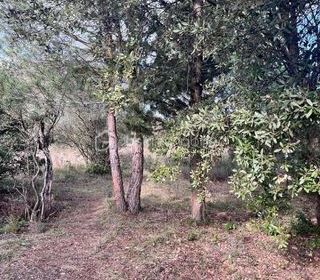  Terrain � vendre 854 m�