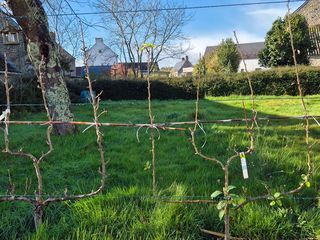  Maison � vendre 4 pi�ces 63 m�