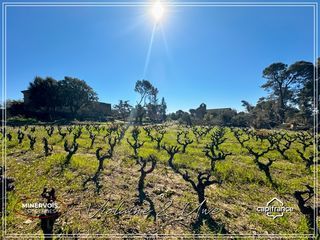  Maison � vendre 15 + pi�ces 446 m�