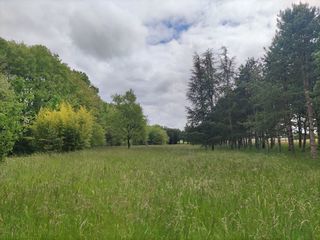  Terrain � vendre 100000 m�