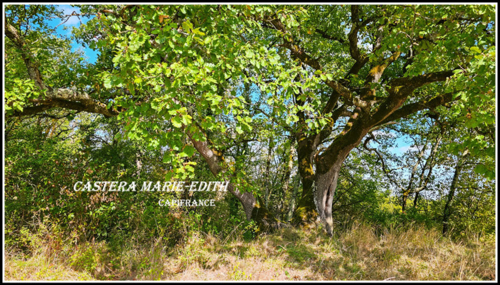 � vendre  Propri�t�/ch�teau Vic-Fezensac (32190)