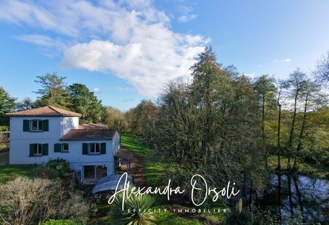   Maison Maison - 9 pi�ce(s) - 264 m�