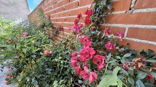  Maison � vendre 5 pi�ces 96 m�