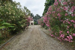  Maison � vendre 8 pi�ces 235 m�