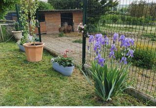  Maison � vendre 3 pi�ces 105 m�